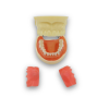 Dental abscess incision practice model open mouth