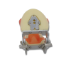 Dental abscess training model base with articulator and phantom head mounting plate
