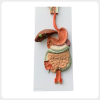 Full Human Digestive System Anatomy Model full human digestive system anatomy model teaching display
