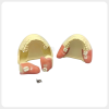 Impacted Wisdom Tooth Dental Training Model dental impacted wisdom tooth extraction training model with replaceable surgical blocks