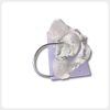 Obstetric Pelvis Model Angled View for Training obstetric pelvis model angled view childbirth simulation training tool