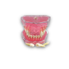 Dental Extraction Practice Typodont Dental extraction training model with removable tooth roots