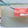 645ded84c00b992d77a500638cd15814 Dental Abscess Incision and Drainage Training Model with Replaceable Modules