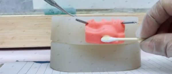 645ded84c00b992d77a500638cd15814 Dental Abscess Incision and Drainage Training Model with Replaceable Modules