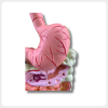 Realistic stomach model with hand-painted details for medical anatomy teaching