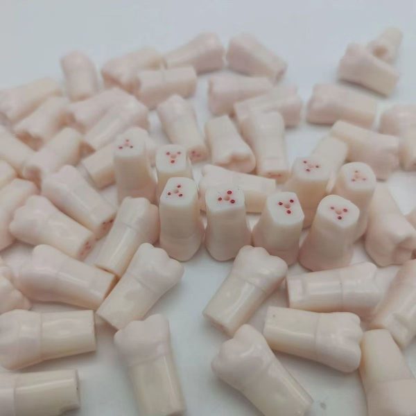 Dental endodontic practice teeth resin root canal training teeth for typodont model