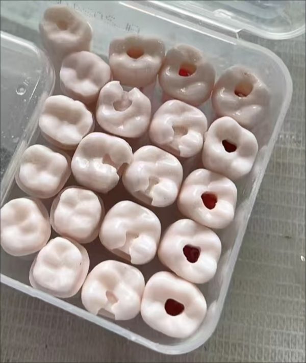 Dental root canal access preparation training teeth resin dental practice model