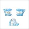 Side View Orthodontic Dental Training Model orthodontic dental model side view bracket alignment training model