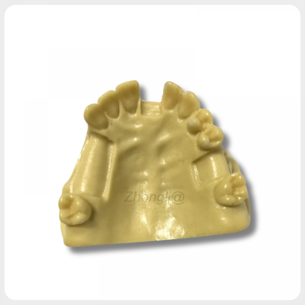 Upper Jaw Dental Implant Training Model with Missing Teeth upper jaw dental implant training model with multiple missing teeth realistic implant practice model