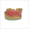 Dental Implant Model Side View with Gum and Bone upper jaw implant simulation model occlusal view
