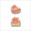Dental Implant Model Upper Jaw Structure Display dental implant training model upper jaw structure view