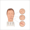 Female Facial Injection Training Head Detail Model Realistic female facial injection training head model with detailed eye nose lip texture