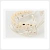 Dental Caries and Implant Demonstration Model Transparent dental restoration model showing caries and implant cases