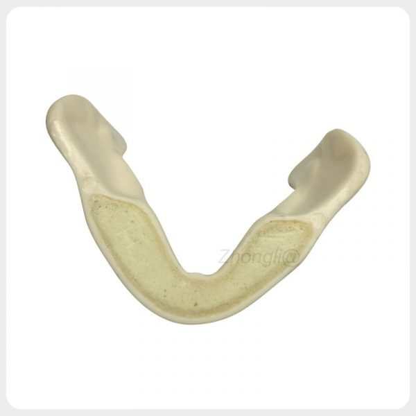 Dental Teaching Implant Practice Model Dental teaching model for implant practice with simulated bone layers