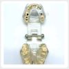 Transparent Dental Teaching Jaw Model Transparent dental jaw model with removable restorations and periodontal demonstration