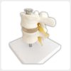 Lumbar Spine Anatomy Model with Nerve Roots Lumbar spine anatomy model with yellow nerve roots