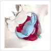 Lateral Pelvic Cavity Female Anatomy Teaching Model Lateral internal view female pelvis model showing pelvic cavity pelvic floor muscles and soft tissue for anatomy education