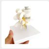 PVC Lumbar Spine Model for Medical Training Eco-friendly PVC lumbar spine model for medical training