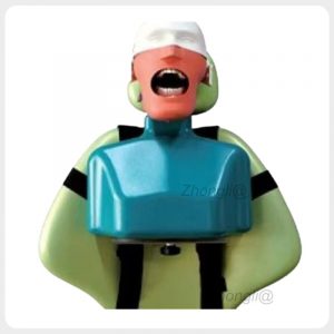 Dental phantom head manikin with torso secured to a training chair dental phantom head manikin with torso front view.jpg