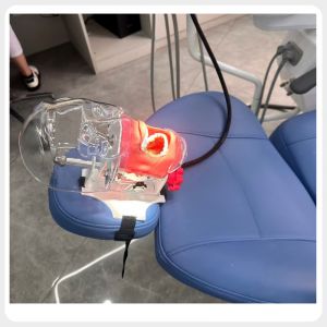Dental Phantom Head Mounted on Dental Chair Dental phantom head mounted on a dental chair headrest for chairside training