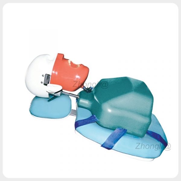 Dental chair mounted phantom head in simulated patient position dental chair mounted phantom head patient position.jpg