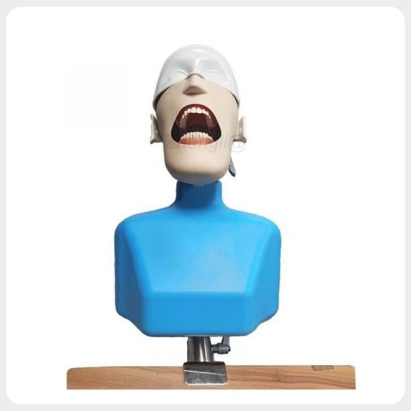 Table Mounted Dental Phantom Head with Clamp Dental phantom head manikin mounted on table with clamp for preclinical dental training