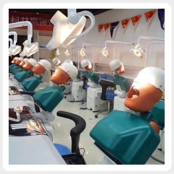 Dental Phantom Head for Dental School Simulation Lab Dental phantom head manikins used in dental school simulation laboratory training