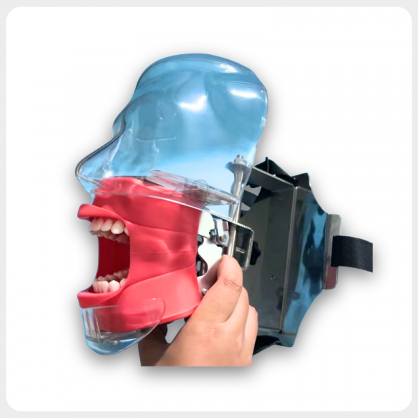 4 Adjustable Dental Chair Headrest Mounted Phantom Head with Replaceable Teeth