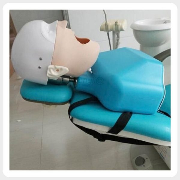 Dental Chair Mounted Phantom Head Manikin Dental phantom head strapped to dental chair for patient-style simulation training