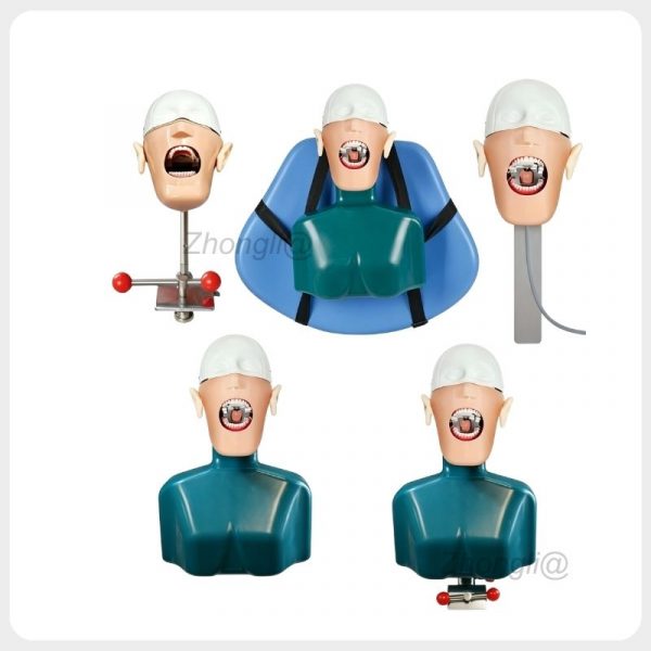 Dental phantom head manikin with chair and bench mounting options dental phantom head manikin mounting options.jpg