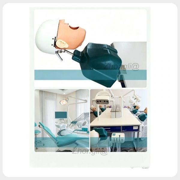 Dental phantom head simulator used in a clinical training laboratory dental phantom head clinical training laboratory.jpg