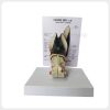 Canine Ear Anatomy Model Front View Canine ear anatomy model front view with labeled normal anatomy reference card