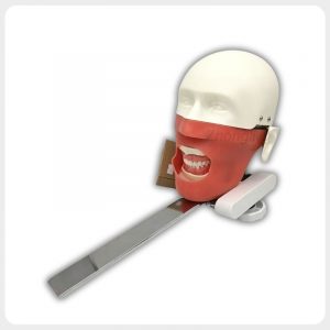 Dental Chair Mounted Phantom Head Front View Dental chair mounted phantom head with replaceable training teeth