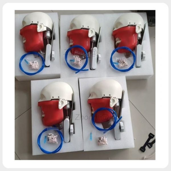 Dental Chair Phantom Heads with Training Accessories Bulk dental chair phantom heads with replacement teeth and training accessories