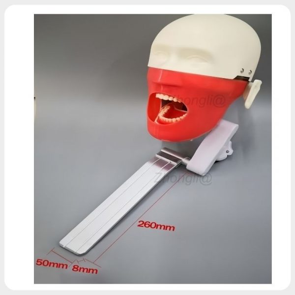 Dental Phantom Head Mounting Plate Dimensions Dental phantom head with 260 x 50 x 8 mm metal mounting plate