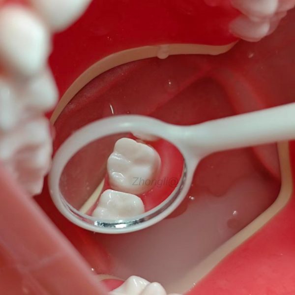 Replacement Tooth Indirect Mirror Vision Practice Dental mirror inspection of resin replacement tooth during typodont training