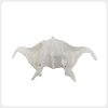 pterygoid_implant_training_model_front_view.jpg Front view of pterygoid implant training model with artery anatomy details