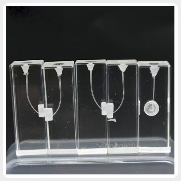 0a93fa321f044375b64b24355294a0d7 Five transparent resin endodontic training blocks showing different simulated root canal pathways