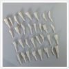 Complete set of 32 replacement typodont teeth for dental training