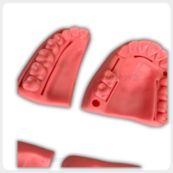 Maxillary and partial arch silicone suture training modules