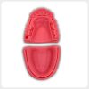 Maxillary and mandibular silicone gingival suture models