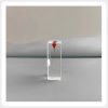 Stained Pulp Chamber Endodontic Training Block Transparent resin endodontic training block with a red-stained pulp chamber and curved simulated root canal