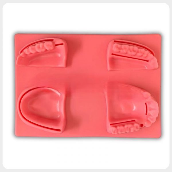 Integrated four-zone silicone dental suture practice model