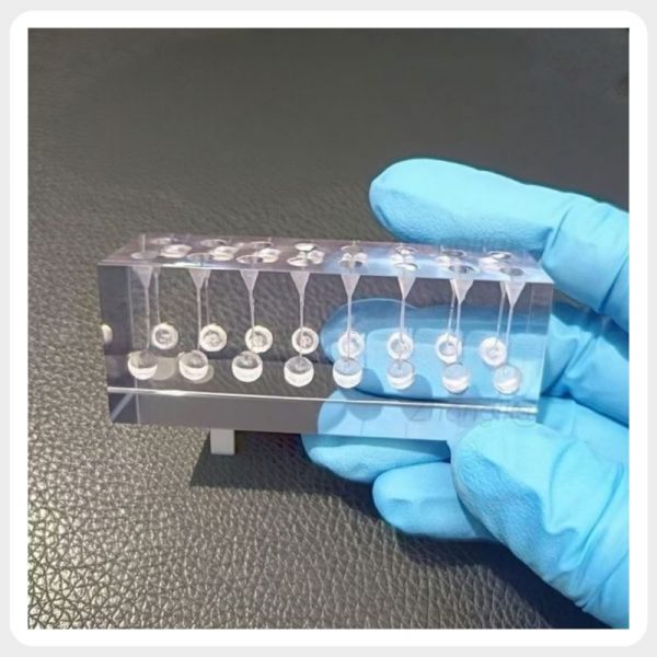 Multiple Simulated Root Canal Pathways Handheld transparent resin training block displaying multiple simulated root canal pathways