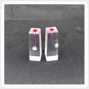 Two transparent resin endodontic training blocks with red-stained pulp chambers displayed in different orientations