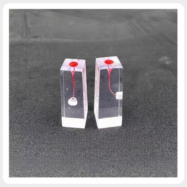 Stained Pulp Chamber Training Blocks in Two Orientations Two transparent resin endodontic training blocks with red-stained pulp chambers displayed in different orientations