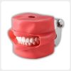 Flexible resin dental manikin face mask installed with typodont