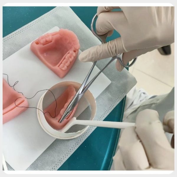 Dental student practising gingival suturing on silicone model
