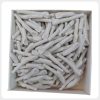 Bulk replacement typodont teeth in a storage box