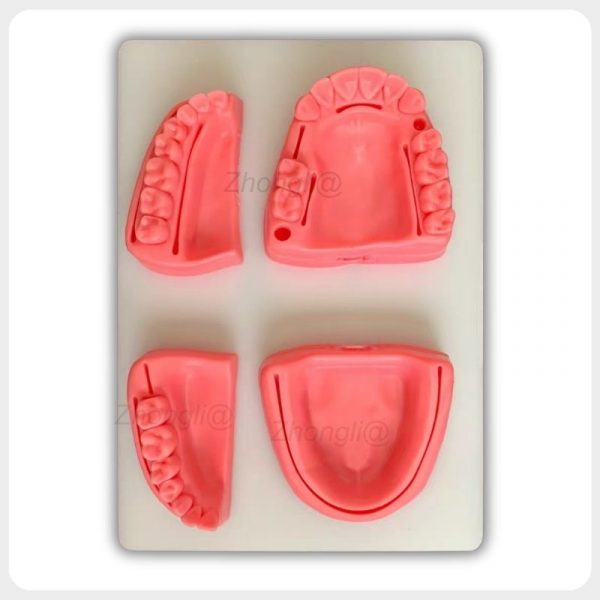 Four silicone dental suture modules fixed on white base